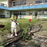吉川美南駅から通える幼稚園｜駅前送迎ステーションとKindergarten busでの通園