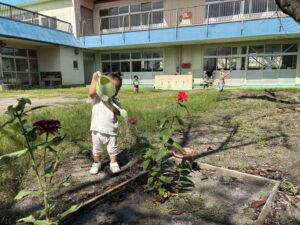 園庭で花に水をあげる子どもたちの様子